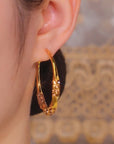 💎Circle Earrings with Zirconia