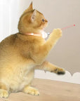 Cat Neck Laser Collar