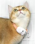 Cat Neck Laser Collar