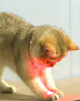 Cat Neck Laser Collar