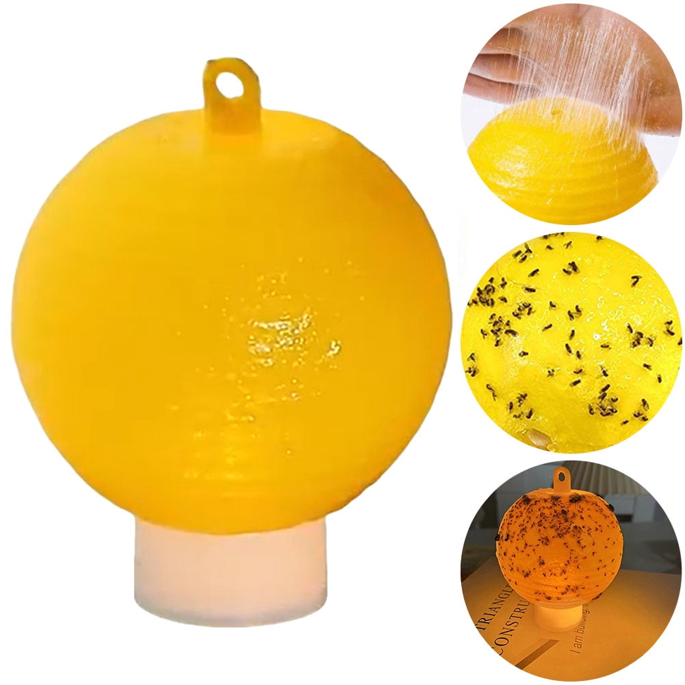 Sticky Fruit Fly Traps – Bug Ball