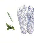 Foot Massage Acupressure Socks (SOCKS + STICK)