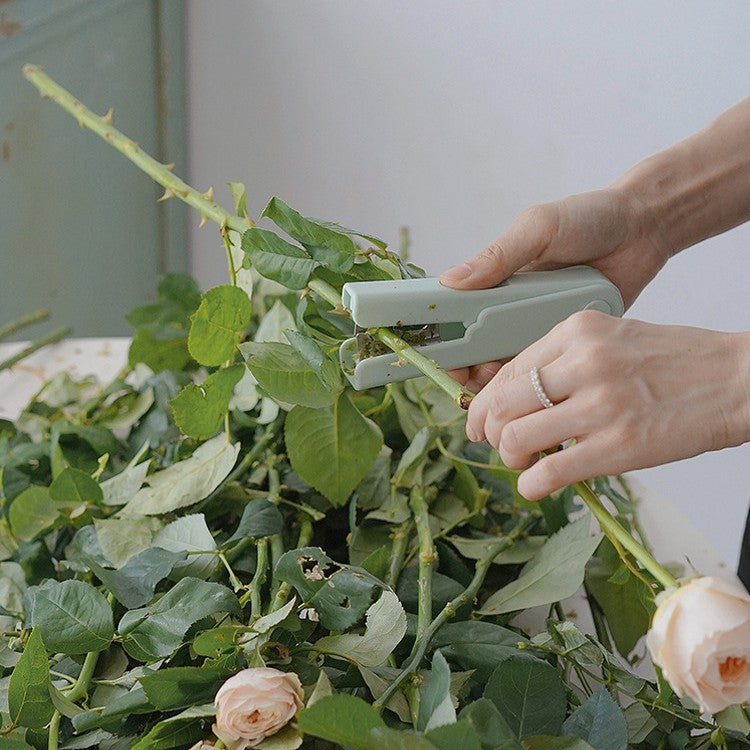 Rose Thorn Remover &amp; Flower Scissors