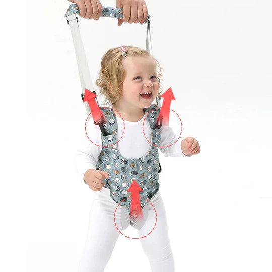 Adjustable Toddler Walking Safe Standing Baby