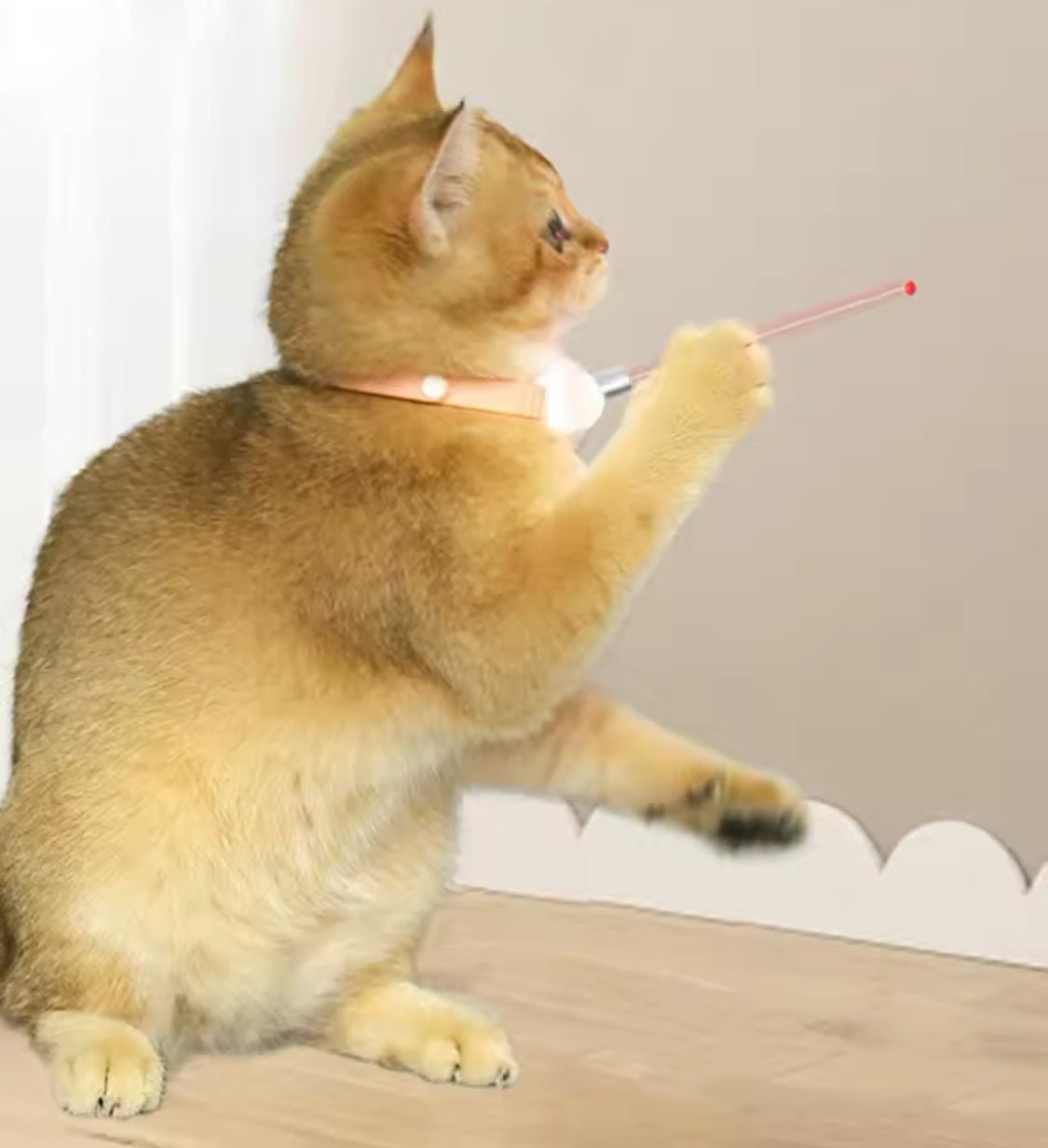 Cat Neck Laser Collar
