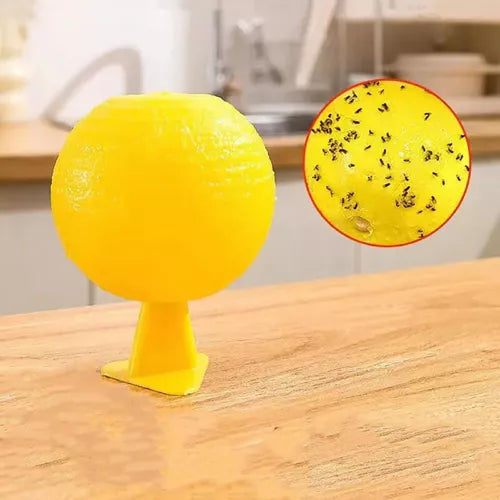 Sticky Fruit Fly Traps – Bug Ball