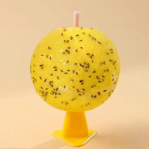 Sticky Fruit Fly Traps – Bug Ball